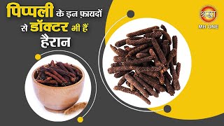 पिप्पली के इन फ़ायदों से डॉक्टर भी हैं हैरान  Pippali ke Fayde  Pippali Ayurveda Benefits [upl. by Laban663]