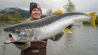 GIANT Steelhead Catch Clean Cook Remote River Fishing Oregon [upl. by Gewirtz]