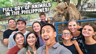 Epic Animal Day in the Philippines with South African Family ft dingodinkelman  Vlog 1733 [upl. by Layla]