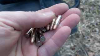 CCI STINGER VS CCI MINI MAG 100 YARDS [upl. by Fessuoy]