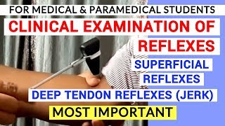 REFLEXES EXAMINATION  CLINICAL LAB  PHYSIOLOGY PRACTICALS [upl. by Leahplar]