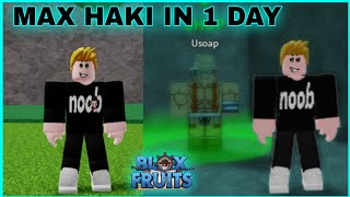 How To Maximize Ken Haki  Observation Haki  In 1 Day Tips And Tricks In Blox Fruits [upl. by Assirrec726]