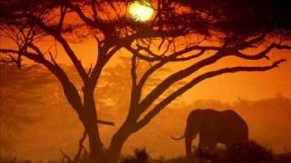 African World Music Composition  Toby Barnett [upl. by Daveta]