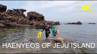 JEJU ISLAND  Haenyeo Women Divers 4K FULL SHOW  UNESCO Intangible Cultural Heritage of Korea [upl. by Ilam]