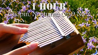 Nocturne Op9 No2 Chopin  1 Hour Relaxing Kalimba 칼림바 [upl. by Leandra]