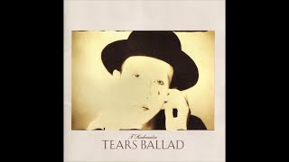 Toshiki Kadomatsu 角松敏生  TEARS BALLAD 1991 Full Album [upl. by Jania499]