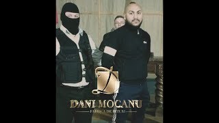 Dani Mocanu  Familie Frumoasa  Official Audio [upl. by Dmitri]