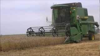 John Deere 1177 Threshing Wheat Part 2 [upl. by Aniluj]