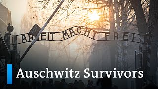 Auschwitz liberation Survivors look back  DW News [upl. by Enert]