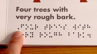 My Technique for SightReading Braille [upl. by Kaasi]