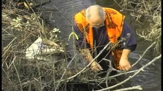 Bottom Edge Mink Trapping with Bob Noonan [upl. by Amando99]