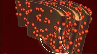 Ribosome 3D [upl. by Sivolc5]