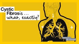 Lungs  How does cystic fibrosis affect the body [upl. by Olag]