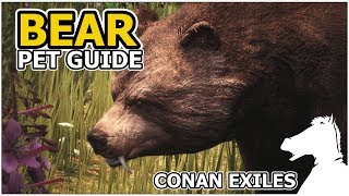 BEAR  Pets Guide  CONAN EXILES [upl. by Yenroc]