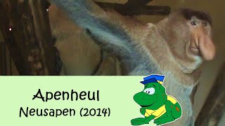 Apenheul Neusapen 2014 [upl. by Sharl21]