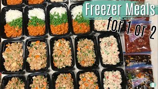 Freezer Meals for One or Two  MEAL PREP IDEAS [upl. by Eitak]