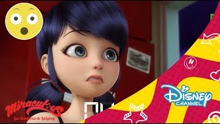 Las aventuras de Ladybug Nuevos episodios  Disney Channel Oficial [upl. by Ollehto304]