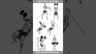 Upper Chest Exercises For Men At Home [upl. by Pontus]