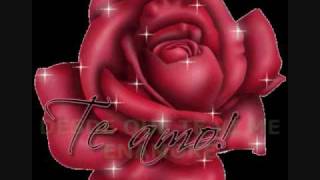 LOS TEMERARIOS  YO TE AMO [upl. by Lledor568]