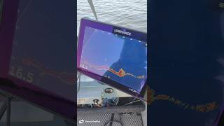 Lowrance Active Target 2 палитра 8ая [upl. by Kila283]