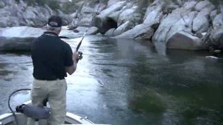 Millerton Striper Fishing [upl. by Mairim]