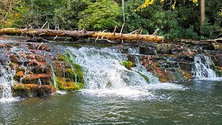 Waterfall Creek Fishing [upl. by Netsyrc240]