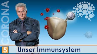 Unser Immunsystem│Dr Dr Damir del Monte│Wissenschaft amp Praxis [upl. by Einaffets]