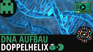 DNA Aufbau│Biologie Lernvideo Learning Level Up [upl. by Adnoek]