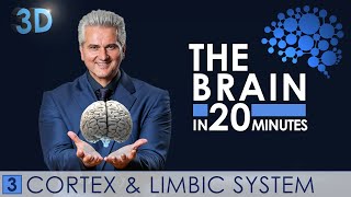 3D  The Brain in 20 minutes  03 │ Cortex amp Limbic System │ Dr Dr Damir del Monte │ Encephalon [upl. by Matteo790]