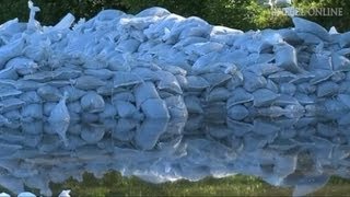 Hochwasser in Halle Höchster Pegel seit 400 Jahren  DER SPIEGEL [upl. by Naltiac]