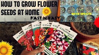 How To Grow Flower Seeds Fast With Update [upl. by Eillam473]