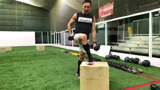 Curtsy Lunge Step Ups on Box [upl. by Marjana]