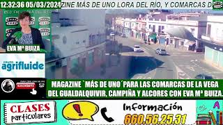 INFORMATIVO Y MAGAZINE MÁS DE UNO LORA DEL RÍO Y COMARCAS DE LA VEGACAMPIÑA DE SEVILLA [upl. by Inahc289]