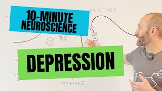 10Minute Neuroscience Depression [upl. by Faber542]