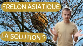 LA SOLUTION CONTRE LES FRELONS ASIATIQUES [upl. by Vitek]