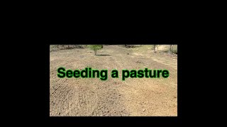 how to seed a cow pasture [upl. by Tesler]