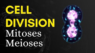 Mitosis Cell Division In 6 Minutes [upl. by Arimas]