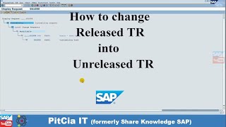 SAP Basis  How to change SAP Transport request TR from Released to Modifiable Status English [upl. by Bamford963]