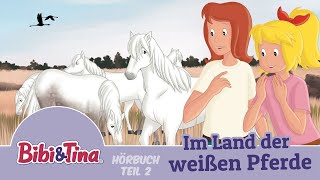 Bibi amp Tina  Die Serie  Die besten Szenen aus der 1 Staffel  Episoden 110 [upl. by Namlak]