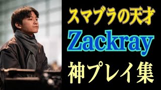 【スマブラの天才】日本が誇るスマブラの天才Zackray神プレイ集【スマブラSP】 [upl. by Elleivad934]