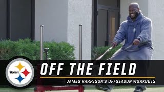 James Harrisons Intense Offseason Workouts  Pittsburgh Steelers [upl. by Hairem794]