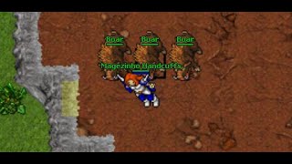 TIBIA  BOAR  Montaria   BRONSON SERVER [upl. by Oneg823]