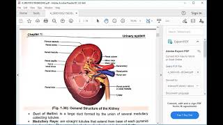 Cellfree DNA in Transplant Assessments [upl. by Heyes]