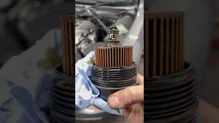 Oil filter change Bmw Z4 [upl. by Acinemod]