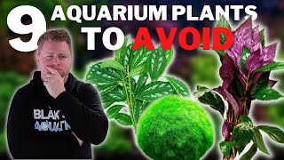 9 Plants to AVOID in your Aquarium  Beginner Aquarium Plant Guide [upl. by Cirenoj]