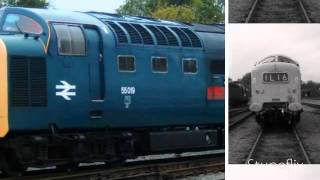 Deltics Gala NRM Locomotion Shildon [upl. by Pessa]