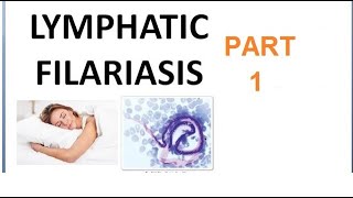 Parasitology 221 a Wuchereria Bancrofti Filariasis Filarial worm Elephantiasis Culex Microfilaria [upl. by Egedan]