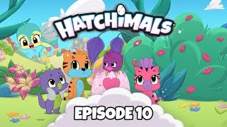 Hatchimals  Episode 10  Copycat Eggstraordinaire  TEAM HATCH YouTube Series [upl. by Eednam]