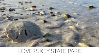 Guided beach walk Lovers Key State Park Florida [upl. by Casmey968]