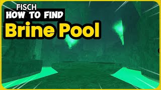 How to Find the Brine Pool in FISCH  Easy Guide [upl. by Ahseile]